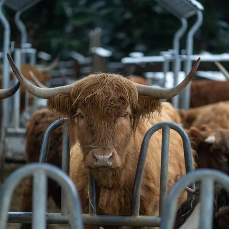 Sołdrówka Willa Kocierz Rychwaldzki