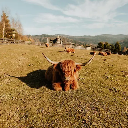 Sołdrówka Willa Kocierz Rychwaldzki