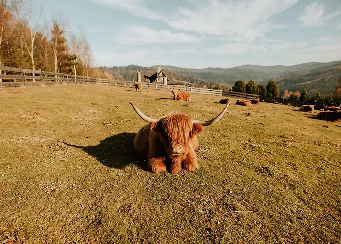 Soldrowka Villa Kocierz Rychwaldzki